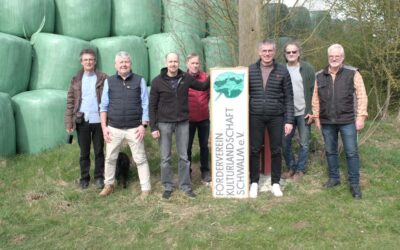 Neue Heimat für Weißstörche in Ascherode