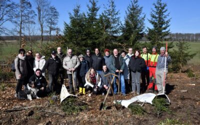 1000 Bäume gepflanzt