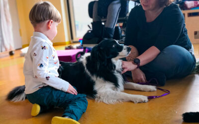 Hündin Tille als „Brückenbauerin“