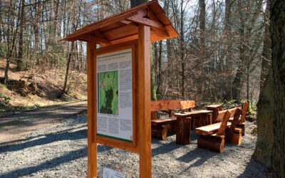 Genuss und Natur pur: Die 2. Merzhäuser Bierwanderung