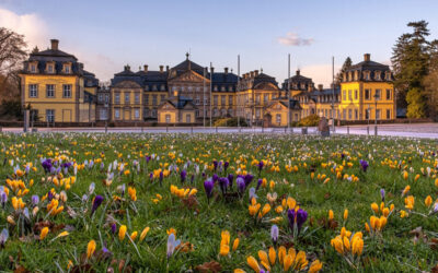 Tag der Burgen und Schlösser 2024