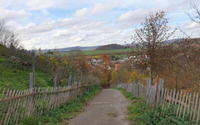 Herausfordernde MTB-Tour durch den Naturpark Habichtswald
