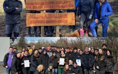 VR Bank HessenLand fördert Abschlussklassen mit Baumpflanzaktion