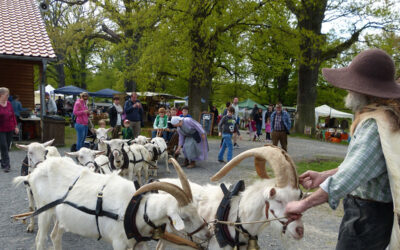 Ein Fest der regionalen Vielfalt