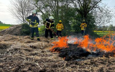Feuerwehrleute üben Wald- und Vegetationsbrandbekämpfung