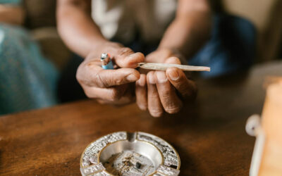 KS: Trickdiebe; Drei Dealer hochgenommen; Karnevalskontrollen; u. a.