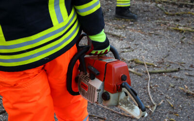Schwalm-Eder-Kreis: Sturmschäden, aber niemand verletzt