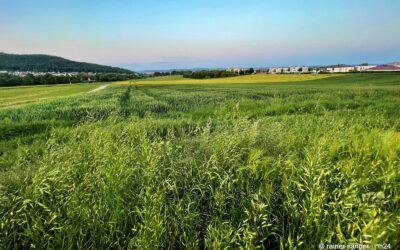 Nord bei Nordwest in der Stavo