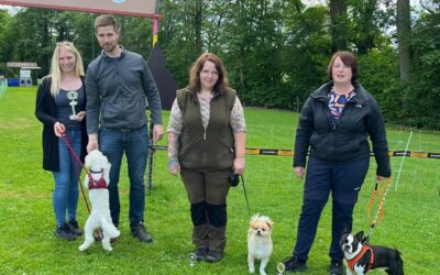 Schwälmer Hunderennen begeistert Zuschauer