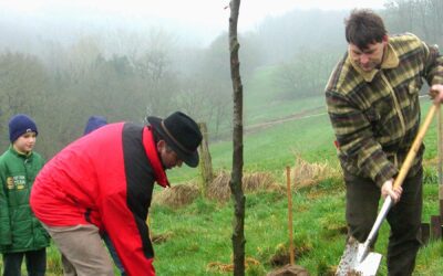 Lesung „Baumgeflüster“ unter der Neuen Bantzer-Buche in Willingshausen