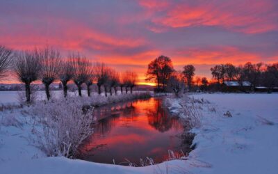 Lutz Klapp: Geschick und Gespür für einzigartige Fotos