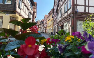 500 Euro für den Hingucker des Jahres in Alsfeld 