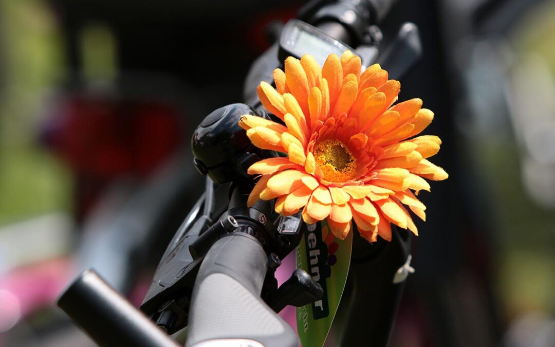 Fahrradklingel trifft Kirchenglocke