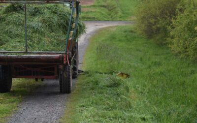 Neue Maßnahmen zur Förderung der Artenvielfalt