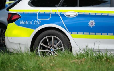 Zeugen stoppen gefährliche Autofahrt – 56-Jähriger verletzt Polizistin