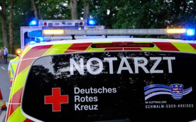 Fahrradfahrer weicht Katze aus und stürzt beim Bremsen