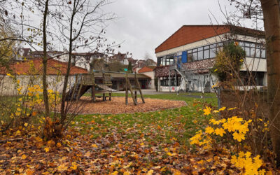 Vandalismus an der Sankt-Martin-Schule – Schülerprojekte beschädigt