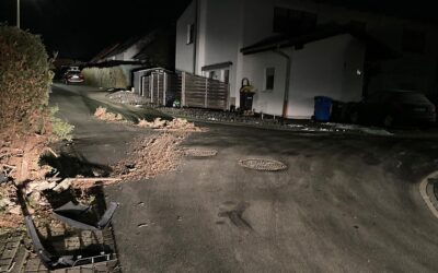 Lkw-Fahrer oder Fahrerin kollidiert mit Hecke und flüchtet