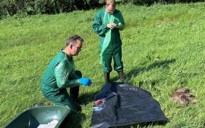 Präventionsmaßnahmen im Landkreis Kassel verstärkt