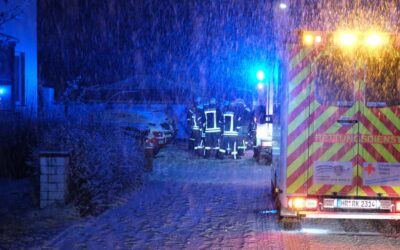 SEK: Feuer; Einbruch; Diebstahl