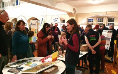 Paradiese vor der Haustür: Gartenmesse in Homberg lädt zum Entdecken ein