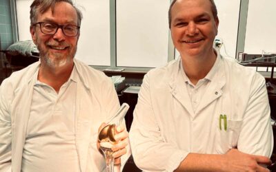 Infoabende zum künstlichen Kniegelenk