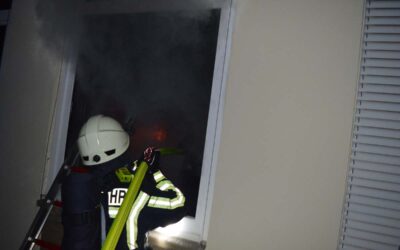 WMK: Brand in Klinik; Ponys sterben bei Unfall