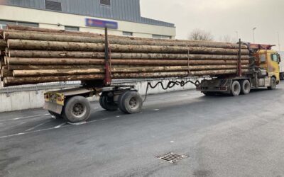 Polizei stoppt Langholzlaster mit 59,5 Tonnen Gewicht