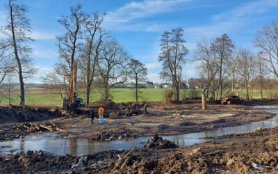 Renaturierung in Caßdorf: Neue Wasserläufe und Teiche fördern Artenvielfalt
