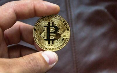 Schwalm-Eder-Kreis: 1,5 Millionen Euro durch Betrug verloren