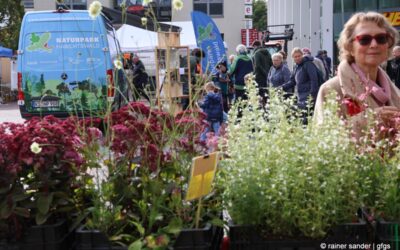 VivaVerde Baunatal: Aller guten Dinge sind 3