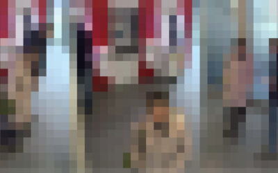 SEK: Diebestour in Treysa; Einbruch in Oberaula; Fahndung in Fritzlar erfolgreich