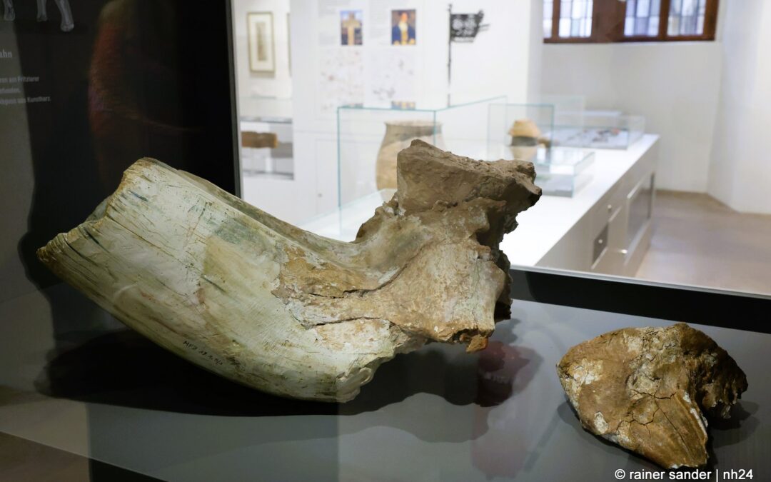 Geschichte zum Anfassen im Hochzeitshaus