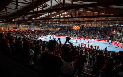 MT Melsungen empfängt ThSV Eisenach in der Rothenbach-Halle