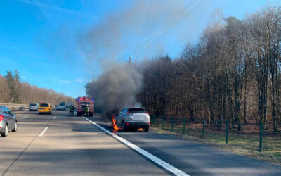 SEK: Pkw Brand; Holzdiebe; Auto aufgebrochen