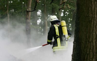 Trockenheit erhöht Waldbrandgefahr