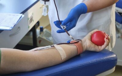 Gemeinsam Leben retten: DRK startet Blutspende-Aktion in Schwalmstadt