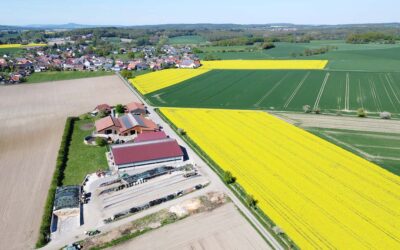 Hessischer Raps: Symbol für Biodiversität und regionale Wertschöpfung