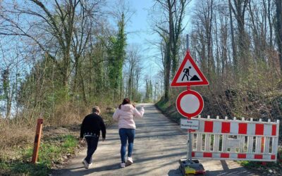 Zufahrt zur Hohenburg werktags bis Ende April gesperrt