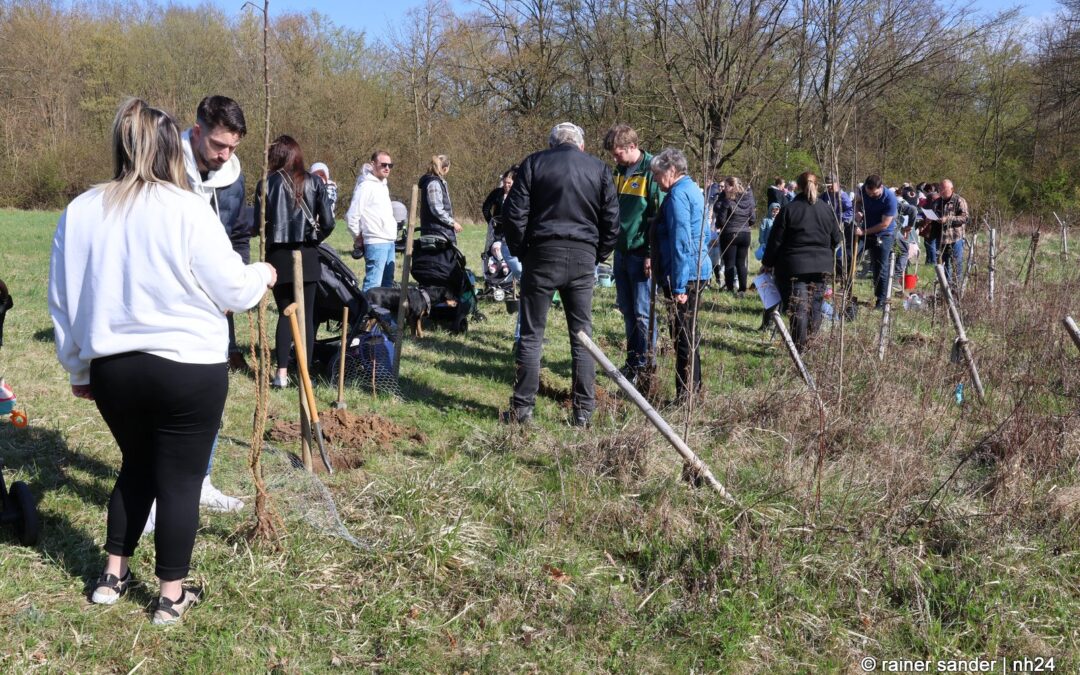 Mehr als 1500 Stammbäume in Baunatal