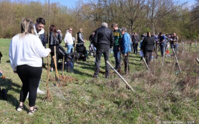 Mehr als 1500 Stammbäume in Baunatal