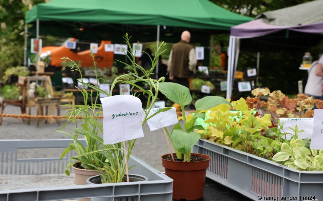Mehr pflanzen und weiter radeln