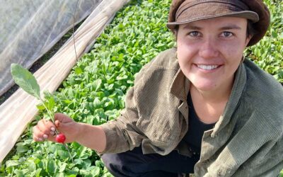 Jungunternehmerin setzt auf regionales Bio-Gemüse