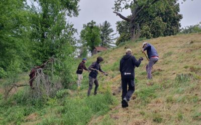 Ehrenamtliche pflegen Steilhang am Schloss Neuenstein