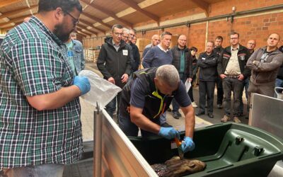 Vogelsbergkreis bereitet sich auf möglichen ASP-Ausbruch vor