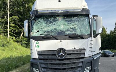 A 7: Baum fällt auf Lkw – Pkw-Fahrer alkoholisiert und ohne Führerschein