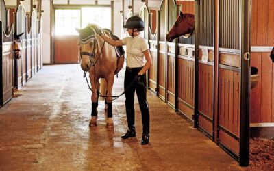 Dressur- und Springturnier auf dem Kastanienhof Eifa