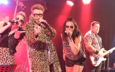 Reiner Irrsinn: Wenn Party Programm ist