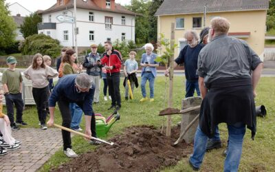 Joseph Beuys ist in Schwalmstadt angekommen