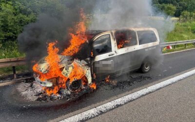 SEK: Kleinbus und Grillhütte werden Opfer von Flammen; Einbruch